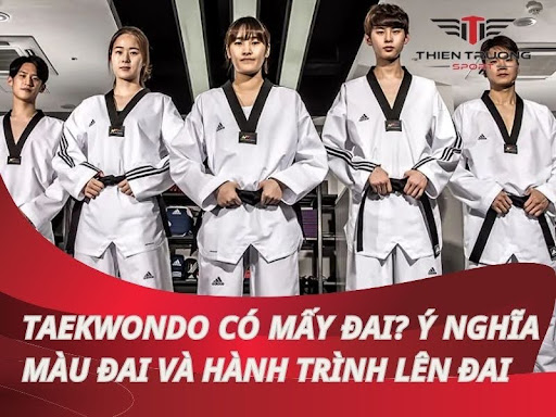 Hệ Thống Đai Trong Taekwondo